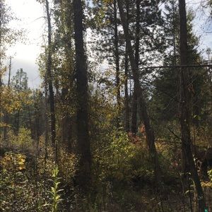 Meet your Posher, Homero